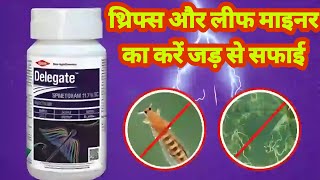 Deligate insecticide use hindi। spinetoram 117 sc insecticide use ।डेलीगेट कीटनाशक। [upl. by Hamlen]