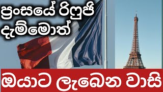 ඉතාලි වගේ නෙමේ ප්‍රංශයේ සරණාගත විසා ඉල්ලුවොත් වාසි ගොඩයි [upl. by Ayekehs690]