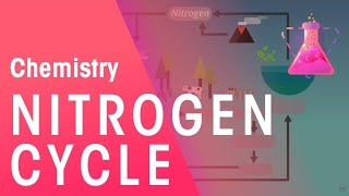 The Nitrogen Cycle  Environmental Chemistry  Chemistry  FuseSchool [upl. by Tipton]