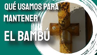 ☣️♻️ALTERNATIVAS PARA EL MANTENIMIENTO DEL BAMBÚ Aquí te enseño algunas de las opciones que tienes [upl. by Esidarap]