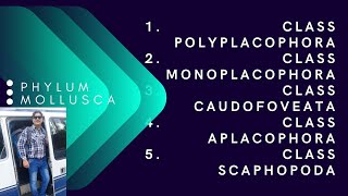 CLASS POLYPLACOPHORA [upl. by Thapa]