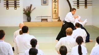 How to Do Kotegaeshi  Aikido Lessons [upl. by Joiner]