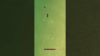 Is this cheating Drone fishing for Flathead fishing shorts dronefishing [upl. by Eelrebmik]