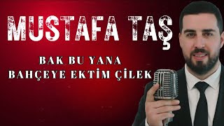 Mustafa Taş  Bak Bu Yana  Bahçeye Ektim Çilek [upl. by Leiru]