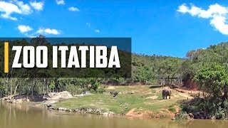 COMO É ZOOLÓGICO DE ITATIBA [upl. by Aivatnohs]