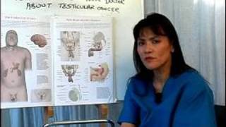 How to Perform a Testicular Cancer Exam  What is Testicular Cancer [upl. by Evad]