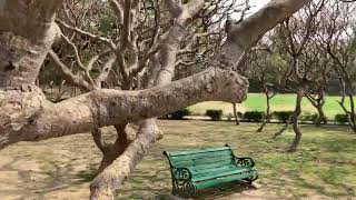 Nehru Park walk tour in 4k NEW DELHI [upl. by Jeremiah]