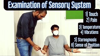 CNS  Examination of Sensory system Upper Limb EnglishHindi MBBS NEXT NEETPG [upl. by Crim]