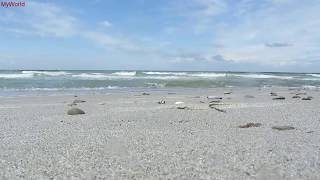 1 h Meeresrauschen Entspannung Wellenrauschen Wellen Strand Meer Ostsee HD [upl. by Lotz]