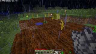 TUTO  Comment bien planter du blé dans Minecraft [upl. by Lyon418]