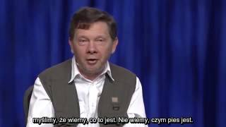 Eckhart Tolle PL Co się z nami dzieje po śmierci [upl. by Hait]