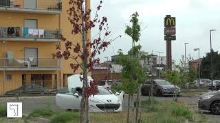 Battipaglia Emergenza verde alberi di Liquidambar in pericolo nel parcheggio del McDonalds [upl. by Tandy]