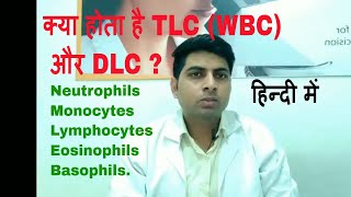 TLC or WBC and DLC test in hindi [upl. by Rena917]