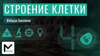 Строение клетки  ЕГЭ по биологии [upl. by Davis]