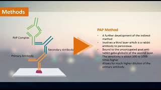 peroxidase and anti peroxidase method vedio [upl. by Anitirhc720]