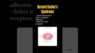 Bernard Soulier’s syndrome and platelet defect bleeding platelets blood usmle neetpg mbbs [upl. by Thorley972]