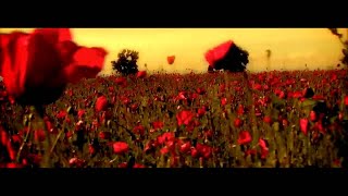 Sisu  Din Toate Florile  Official Video [upl. by Ennaus]