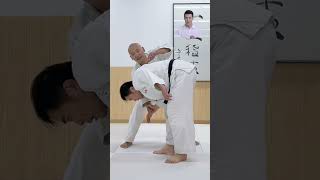 Lift up draw down pull backAikido Breath Throw Aikido AikidoRoutine selfdefense [upl. by Brear301]