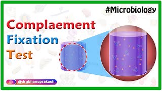 Complement Fixation test  Microbiology animations [upl. by Joerg765]