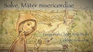 Gregorian Chant  Salve Mater misericordiae  with lyrics [upl. by Ettigirb]