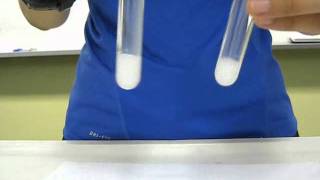 Chloride ion test [upl. by Katonah]