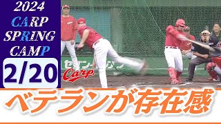 【沖縄キャンプ】カープの主力選手たちが順調な調整ぶりをアピール [upl. by Youlton]