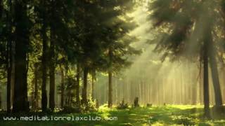 Noise Cancelling Sound Masking White Noise Nature Sounds amp Background Ambient Music [upl. by Adnola360]