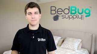 How to Get Rid of Bed Bugs in 4 Easy Steps [upl. by Geddes]