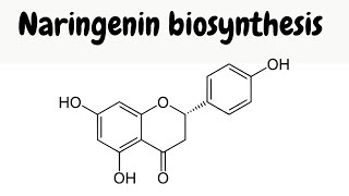 Biosynthesis of naringenin  mechanisms [upl. by Neillij]