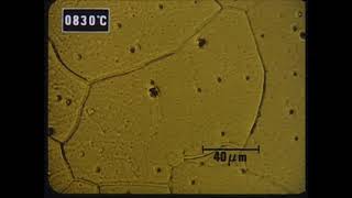 Displacements caused by martensitic transformation  hot stage microscopy [upl. by Ygiaf]