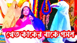 বেহুলা শ্বেত কাকের বাকে গমন  swet kaker bak  নন্দলালপুর মনসা গান  Ma Manasa Gan [upl. by Anelram]