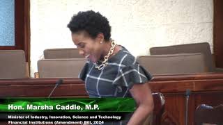 Financial Institutions amendment 2024  Marsha Caddles intervention [upl. by Carrissa831]