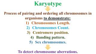 Karyotype Meaning and Steps [upl. by Nogam]