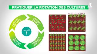 Tuto zéro phyto  le choix des plantes 15 [upl. by Atinehc]