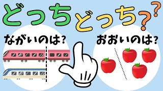 【くらべてみよう！どっちどっち？】知育動画でたのしく学ぼう｜こども向け｜赤ちゃんも楽しめる｜０歳から幼児期に [upl. by Fabri894]