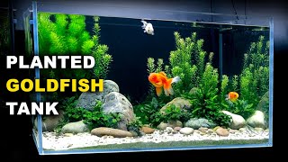 Aquascape Tutorial PLANTED GOLDFISH Aquarium The ORanchu Crew How To Full Step By Step Guide [upl. by Ailed]