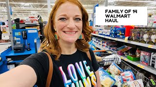 FAMILY OF 14 WALMART HAUL [upl. by Ranie]