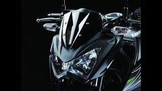 Ninja 250SL Model 2019 Segera Meluncur Tebak Harganya [upl. by Gnen]