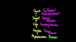 517 Deduce the trophic level of organisms in a food chain and a food web [upl. by Eiggem261]