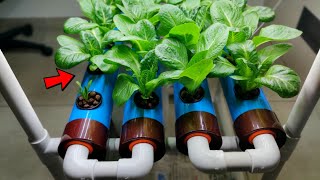 HYDROPONIC Farming at Home  Hydroponic Growing System for Beginners [upl. by Markos222]