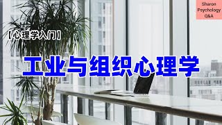 【工业与组织心理学】心理学入门  什么是工业与组织心理学？ [upl. by Nealy]