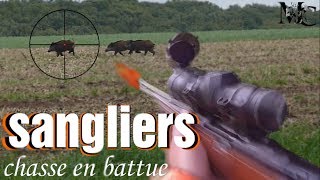 TIR DE 3 SANGLIERS  chasse en battue du grands gibiers saison 20172018 HD [upl. by Olonam]