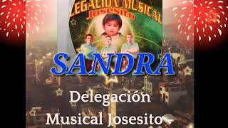 SANDRAnuevodelegación musical josesito 2018 [upl. by Caassi]