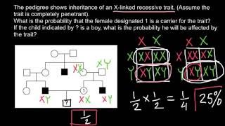 How to Solve Pedigree Problems Easily [upl. by Haidabez]