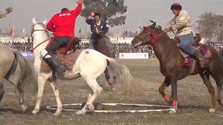 Afghan horsemen vie in the traditional game of Buzkashi [upl. by Jolene797]