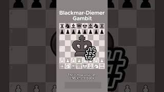 BlackmarDiemer Gambit 😎😎😎chessgambit chessgambits [upl. by Trab]