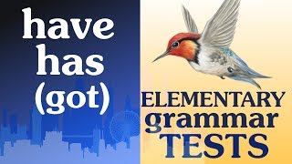 8 Elementary Grammar test Have got  has got have  has [upl. by Jimmy]