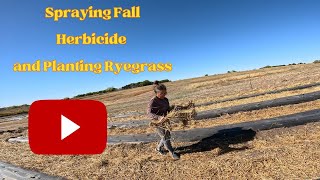 Fall Weed Spraying And Sowing Ryegrass [upl. by Aleuname758]