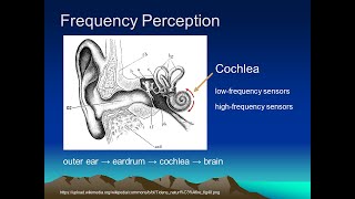 Prosody Tutorial Lecture 9 Perception [upl. by Leal]