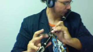 Irish flute tin whistle  Cuil Aodha Jig [upl. by Yelir]